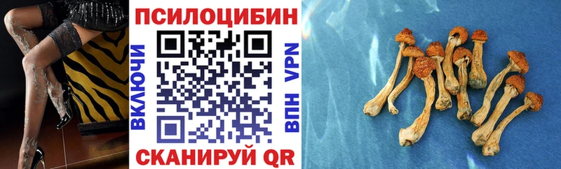 Псилоцибиновые грибы GOLDEN TEACHER  что такое   Азнакаево 